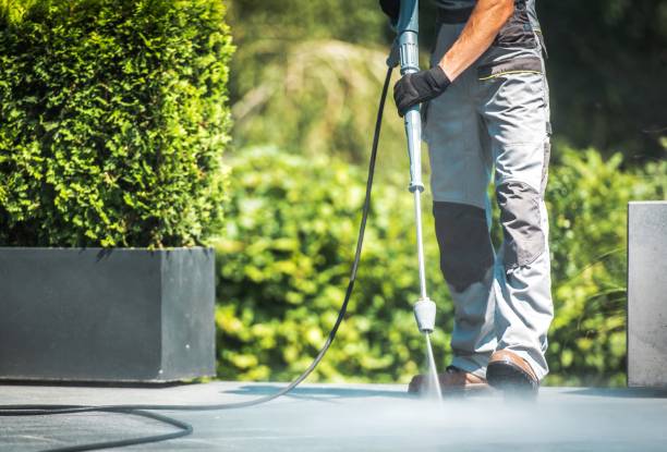 Animal Enclosure Cleaning in Wellington, FL