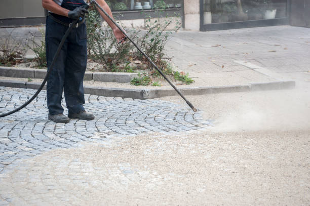 Best Winterizing Services  in Wellington, FL